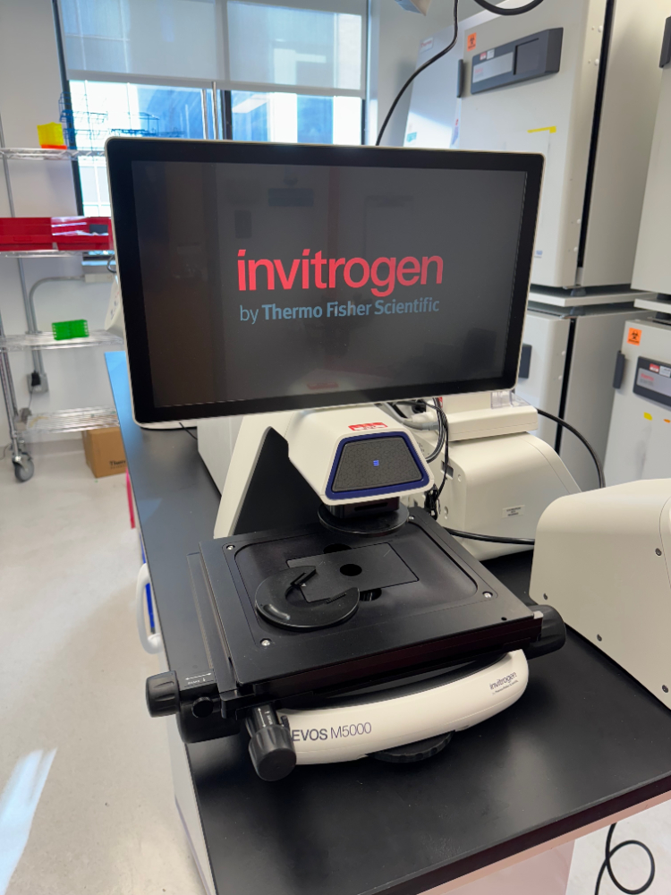Image of Invitrogen EVOS M5000 Microscope